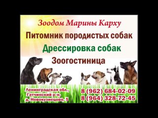 ЗооДом Марины Карху