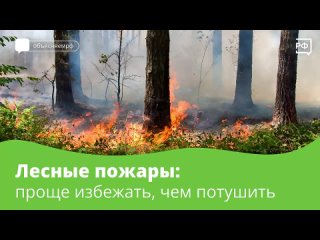 Каждую весну в России начинается сезон лесных пожаров. В 90% случаев причина бедствия — человек