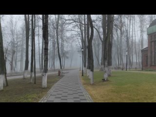 Неспешная прогулка в городском парке ранним утром.