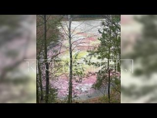Озеро с розовым льдом появилось весной в Дзержинске