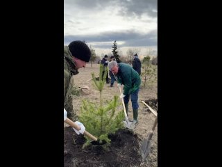 Утро этой субботы 13 апреля мэр города Наиль Магдеев вместе со своей командой начинает с посадки деревьев. Вот она любовь к горо