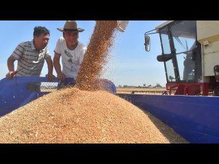 ️ China continues to abandon the West grain