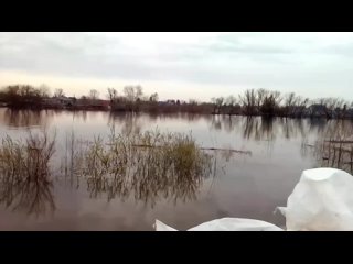 Вода близко подобралась к Кировскому мосту