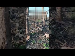 Земля усеяна трупами: Бойцы группировки Центр показывают все, что осталось от 47 омбр ВСУ под Бердычами