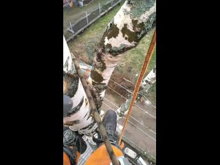 Видео от Спил , распил деревьев (Тверская область)