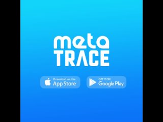 Meta Trace заработок