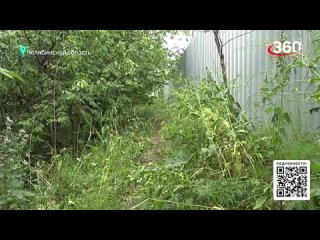 Приговор убийце и насильнику 11-летней школьницы 23 года дали жителю Челябинской области