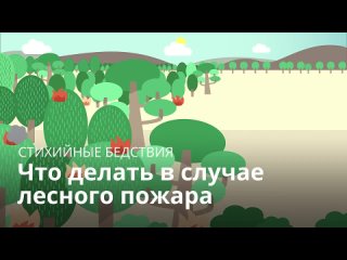 Что_делать_в_случае_лесного_пожара_10032024004136_MPEG-4 (720p).mp4