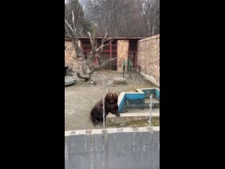 Видео от Бассейн в Обнинске школа плавания Рекордсмен