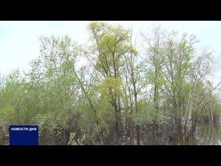Видео от Оренбургское региональное телевидение (ОРТ)