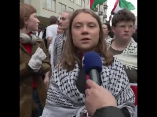 Pro-Palestinian activists booed Israeli representative Eden Golan at Eurovision