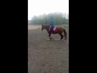 Видео от Катание на лошадях в Костроме “КК Милана“