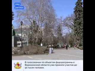 В Воронежской области 12 муниципалитетов участвуют в голосовании за благоустройство парков, скверов и общественных территорий по