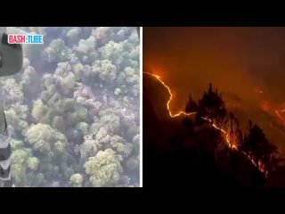 В Индии растёт недовольство тем, что сильнейший лесной пожар начали тушить лишь после того, как он начал угрожать военным