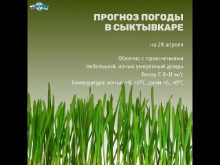 Копия Прогноз погоды в Сыктывкаре.mp4