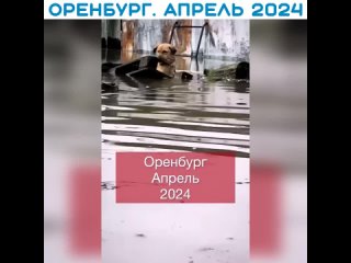 Оренбург 2024г.