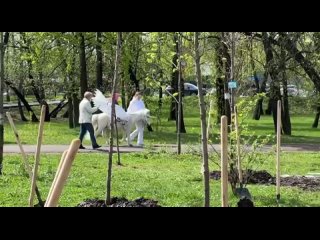 В парке Фабричный пруд прошла акция по высадке деревьев. Погода внесла свои коррективы, но не испугала тех, пришел поучаствова