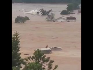 Конструкция с людьми и собакой обрушилась в воду во время вертолетной спасательной операции.