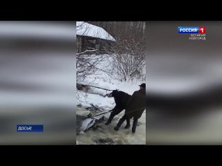 Двое рушан осуждены за кражу иномарки (Вести-Дежурная часть. Великий Новгород» от )