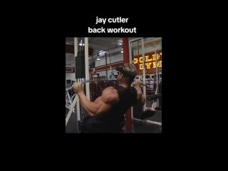 jay cutler back