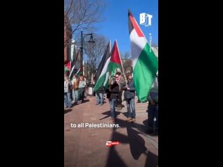 ️Protests in support of Palestine paralyzed the centers of major US cities at the weekend