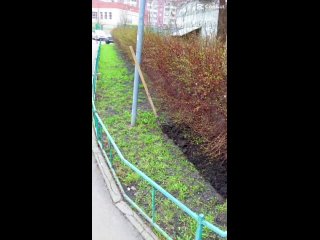 Video by 🟢Новости ЖК «Бутово парк»🟢