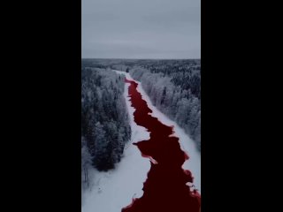 В Сибири река Искитимка изменила свой цвет в Красный