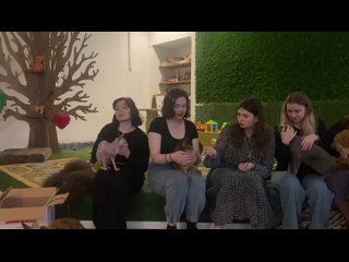 Видео от Музей Кошки(КотоКафе) Кот на Дереве