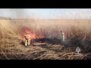 Огнеборцы ликвидировали пожары в Старобешевском районе, Макеевке и Новоазовске