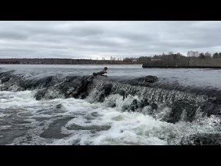 Видео от МКУ “ЕДДС городского округа Рефтинский“