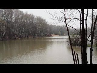 Video by Ремонт телефонов, планшетов в Вологде | PROFIX