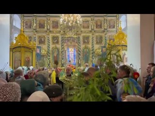 Православные орловцы отмечают Вербное воскресенье