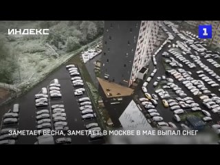 Заметает весна, заметает: в Москве в мае выпал снег