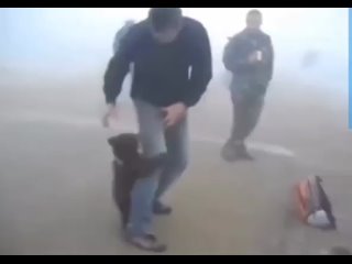⭐⭐⭐⭐⭐Un bébé ours refuse de quitter l’homme qui l’a sauvé d’un incendie