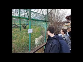 Видео от Развитие экологической образовательной среды МСО