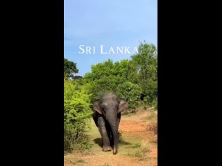 Видео от Жюль Верн НН Турагентство Нижний Новгород