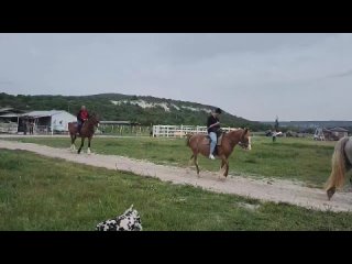 Конные прогулки в Севастополеtan video