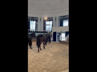 Видео от Кремлёвская школа верховой езды