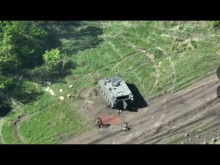 Destruction du vhicule blind de transport de troupes M113 et des soldats ukrainiens, pour l'vacuation desquels le vhicule bl