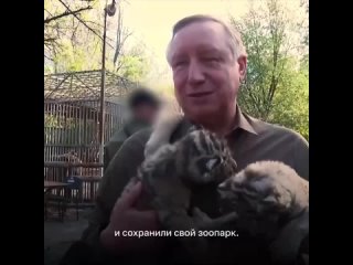 Продолжаем помогать зоопарку Мариуполя, откуда около полутора лет назад к нам приехал наш замечательный тигр Зевс