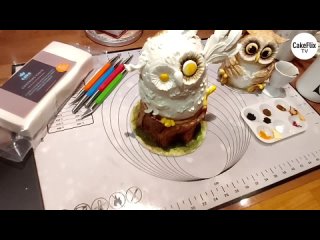 (16) Animated Owl _ Cake Craft with Janette MacPherson