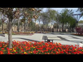 Душанбе 8 март-------- _tajikistan _душанбе _таджикистан _uzbekistan _казахстан _точикистон _худжанд(1080P_HD).mp4