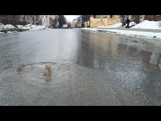 Прорыв трубы на ул. Дзержинского в Петрозаводске