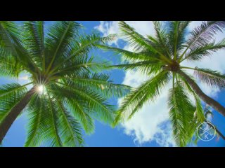 Hawaii in 8K | HDR 60FPS