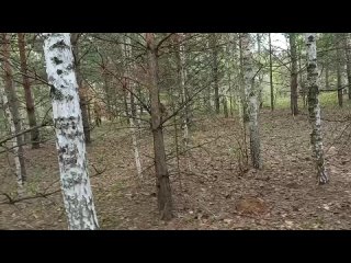 Video by ВПК Contra- пейнтбол, лазертаг Набережные Челн