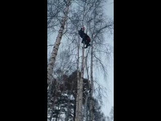 ️ Спасатели Пожарно-спасательной службы Иркутской области сняли с дерева мужчину