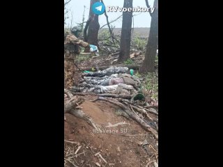 Видео: Жуткие кадры: район Часов Яра завален трупами боевиков ВСУВ ходе боёв их бросило командование и чтобы тела массо