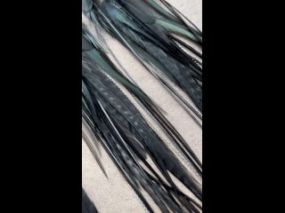 Pixie  Украшения из перышек  Перья в волосыtan video