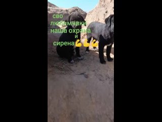 Видео от Александра Чуя