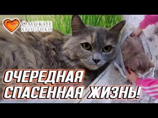 Очередная спасенная жизнь! | Роззи